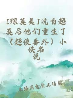 [綜英美]洗白超英后他們重生了（超傻番外）小說