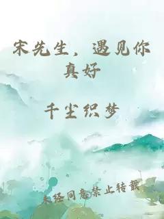 宋先生，遇見你真好
