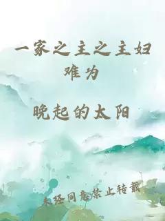 一家之主之主婦難為