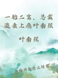 一胎二寶，總裁追妻上癮葉南弦