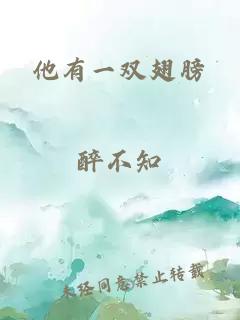 他有一雙翅膀