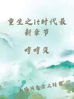 重生之it時(shí)代最新章節(jié)