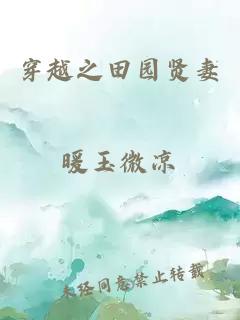 穿越之田園賢妻