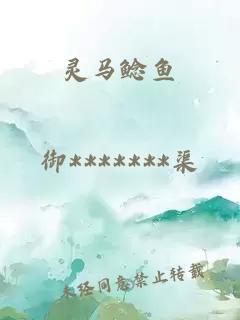 靈馬鯰魚