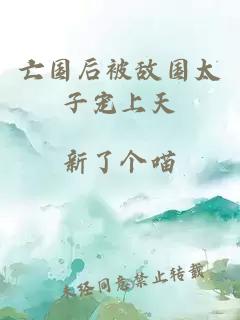亡國后被敵國太子寵上天