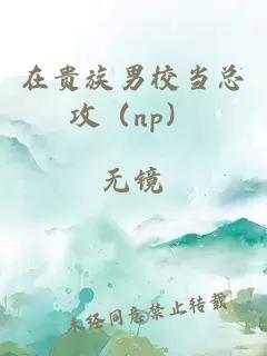 在貴族男校當(dāng)總攻（np）