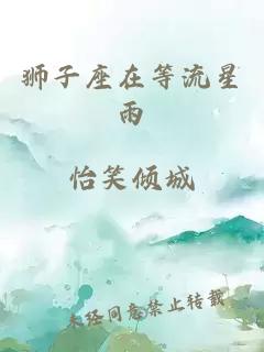 獅子座在等流星雨
