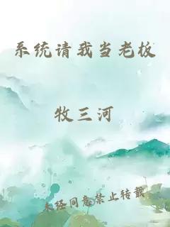 系統(tǒng)請我當(dāng)老板