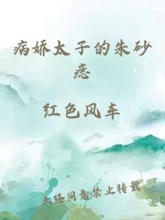 病嬌太子的朱砂痣