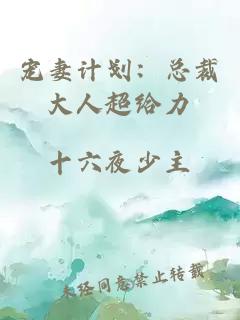 寵妻計劃：總裁大人超給力