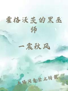 霍格沃茨的黑巫師