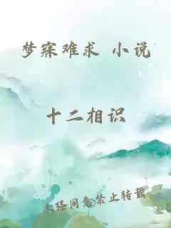 夢(mèng)寐難求 小說(shuō)