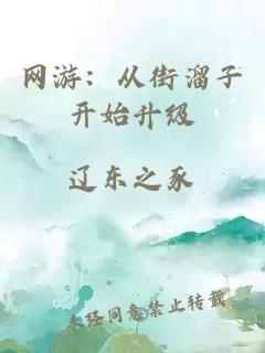 網游：從街溜子開始升級