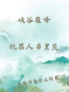 峽谷巔峰