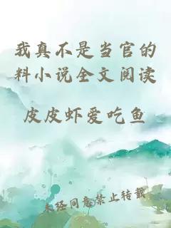 我真不是當(dāng)官的料小說全文閱讀