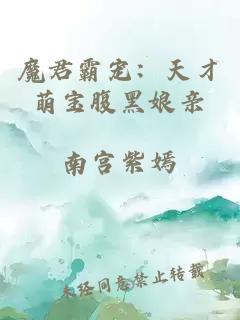 魔君霸寵：天才萌寶腹黑娘親