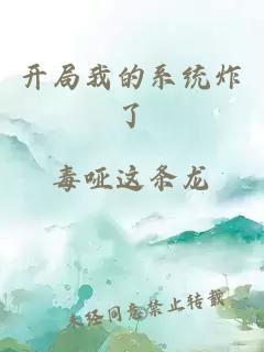 開局我的系統(tǒng)炸了