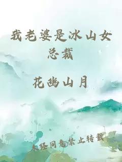 我老婆是冰山女總裁