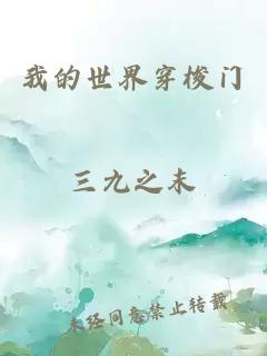 我的世界穿梭門