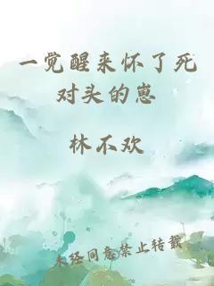 一覺醒來懷了死對頭的崽