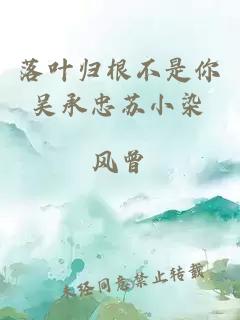 落葉歸根不是你吳承忠蘇小染
