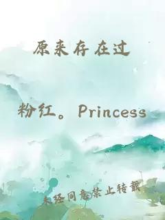 原來(lái)存在過(guò)