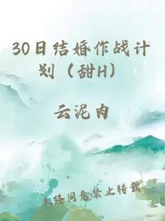 30日結(jié)婚作戰(zhàn)計(jì)劃（甜H）