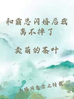 和霸總閃婚后我離不掉了