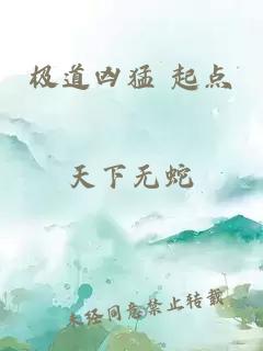 極道兇猛 起點(diǎn)