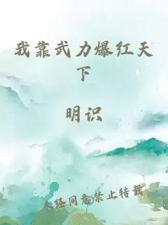 我靠武力爆紅天下