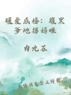 暖愛成婚：腹黑爹地拐媽咪