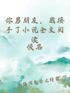 你男朋友，我接手了小說(shuō)全文閱讀