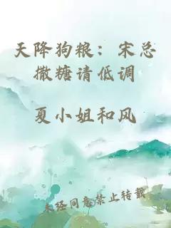 天降狗糧：宋總?cè)鎏钦埖驼{(diào)