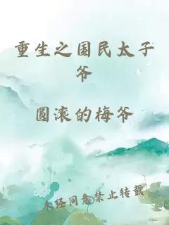 重生之國(guó)民太子爺