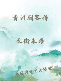 青州刺客傳