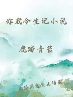你我今生記小說