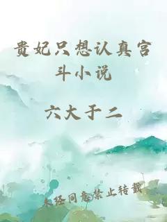 貴妃只想認(rèn)真宮斗小說