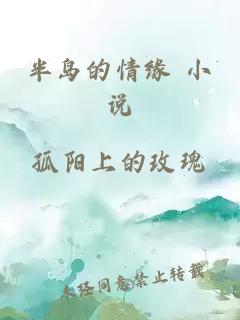 半島的情緣 小說