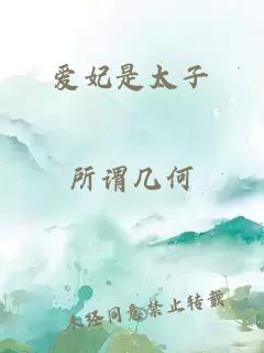 愛妃是太子