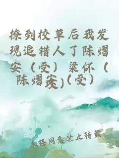 撩到校草后我發(fā)現(xiàn)追錯(cuò)人了陳熠安（受）梁懷（攻）