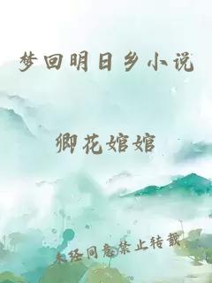 夢(mèng)回明日鄉(xiāng)小說(shuō)