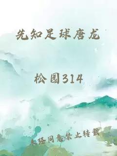 先知足球唐龍