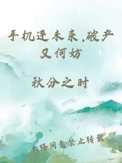手機(jī)連未來(lái),破產(chǎn)又何妨