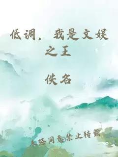 低調，我是文娛之王