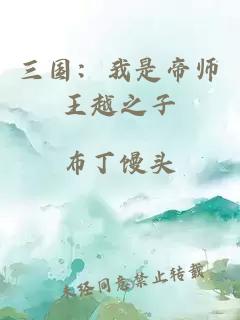三國(guó)：我是帝師王越之子