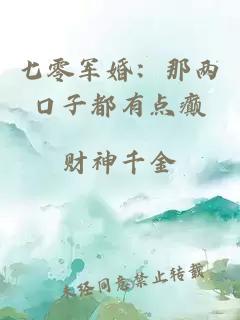 七零軍婚：那兩口子都有點癲