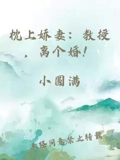 枕上嬌妻：教授，離個婚！