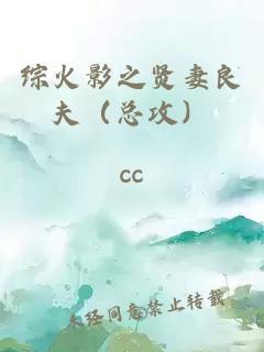 綜火影之賢妻良夫（總攻）
