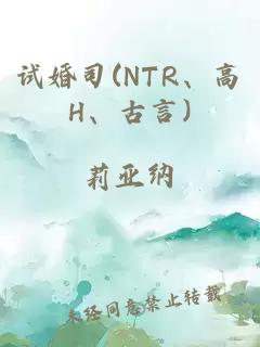 試婚司(NTR、高H、古言)