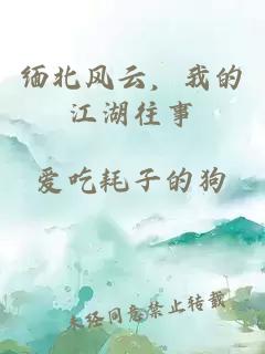 緬北風(fēng)云，我的江湖往事